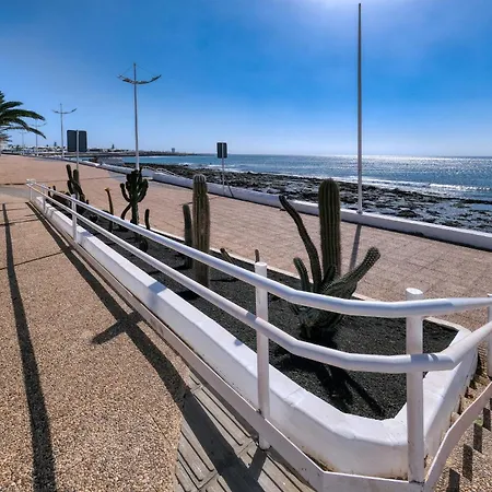 The Mermaid House- *